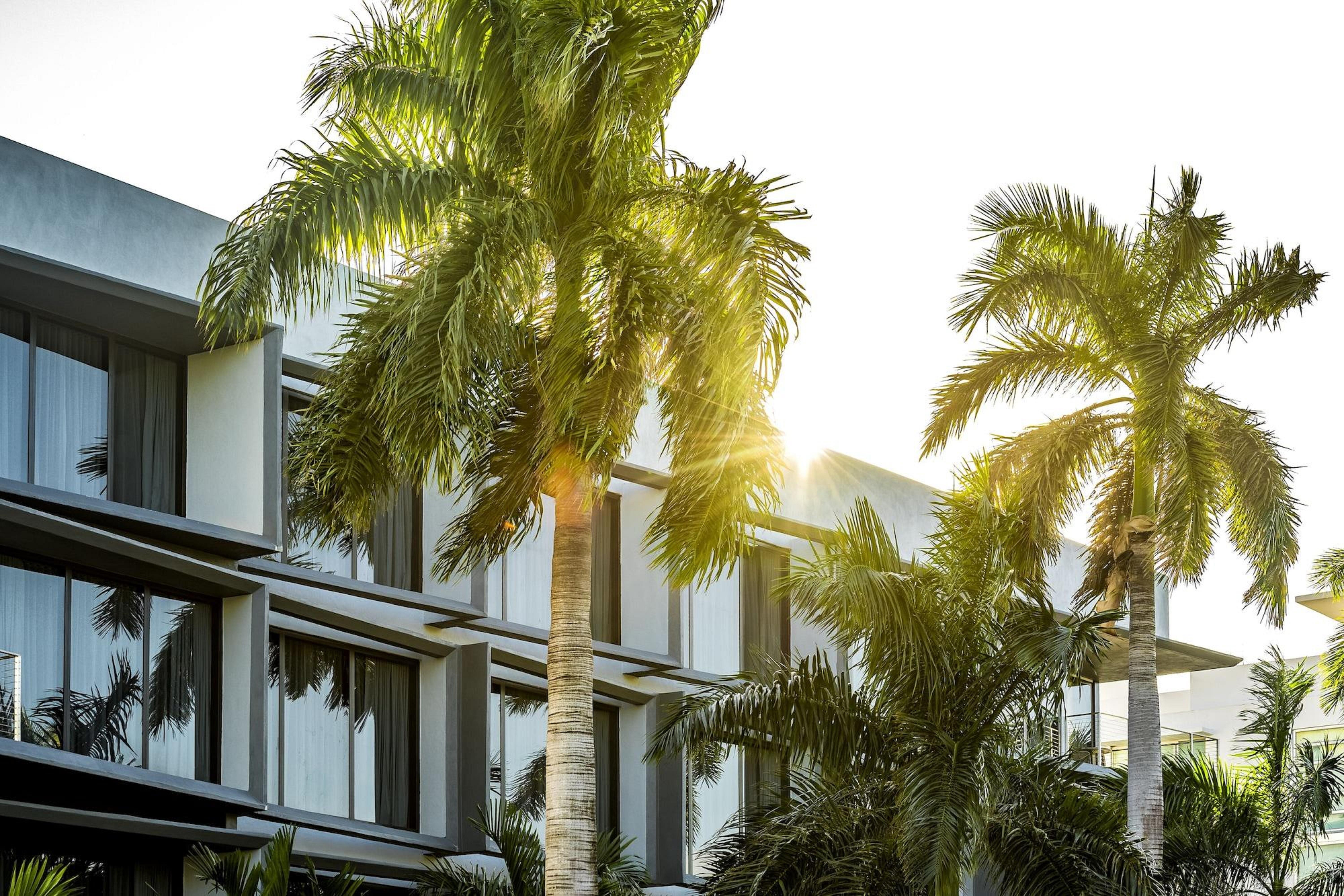 Urbanica Euclid Otel Miami Beach Dış mekan fotoğraf