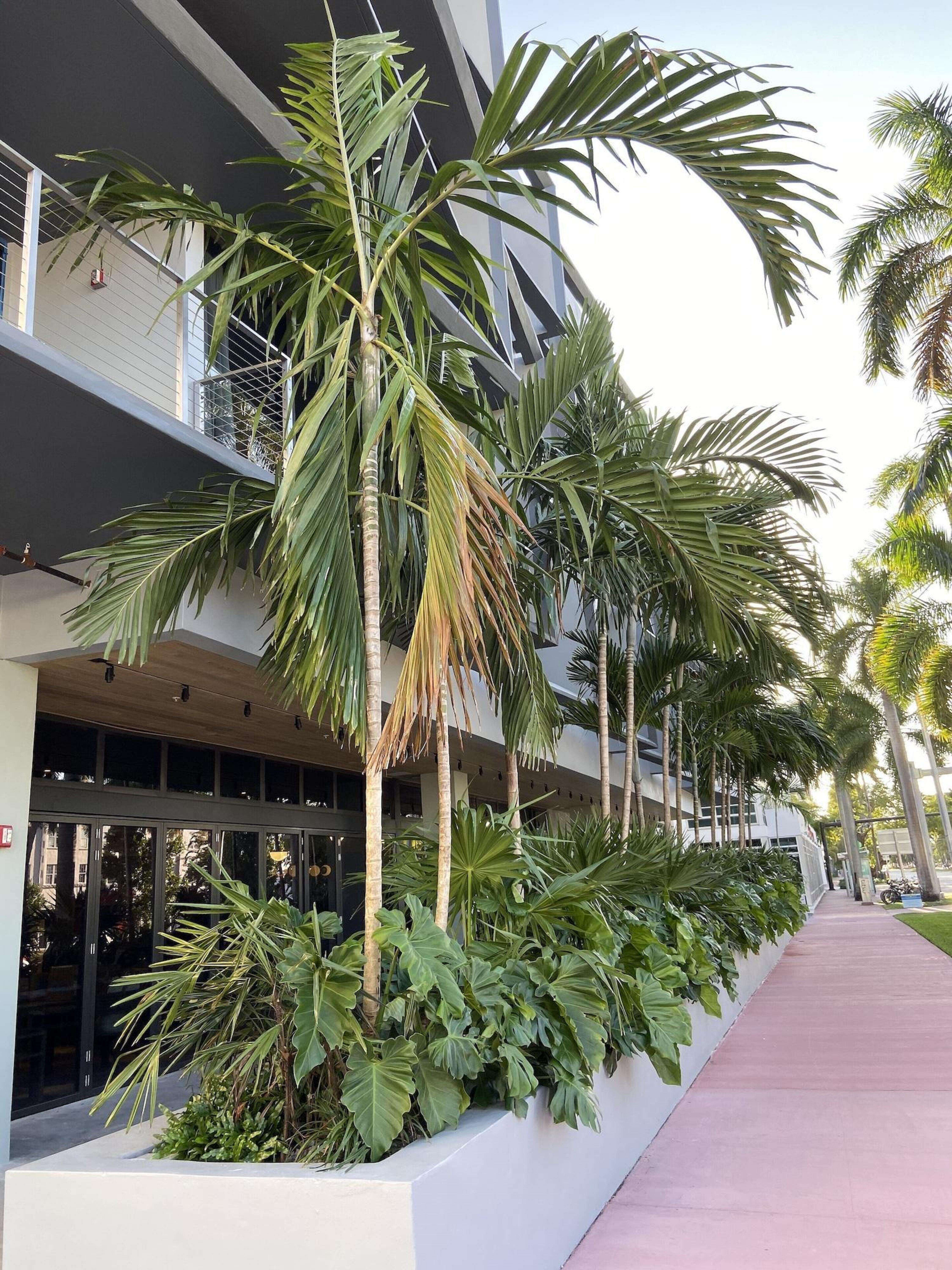 Urbanica Euclid Otel Miami Beach Dış mekan fotoğraf